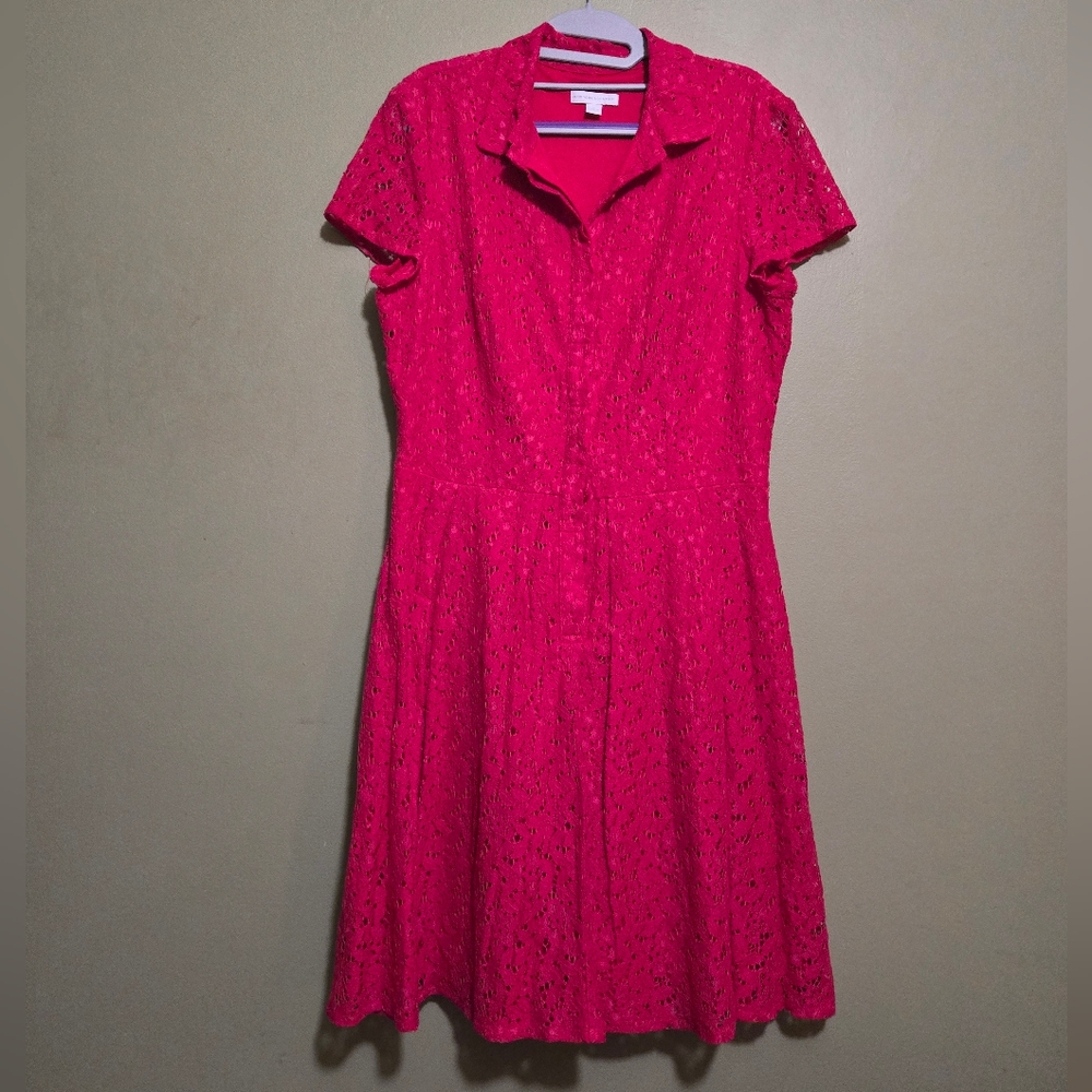 New York & Company size 14 pink lace A-line dress